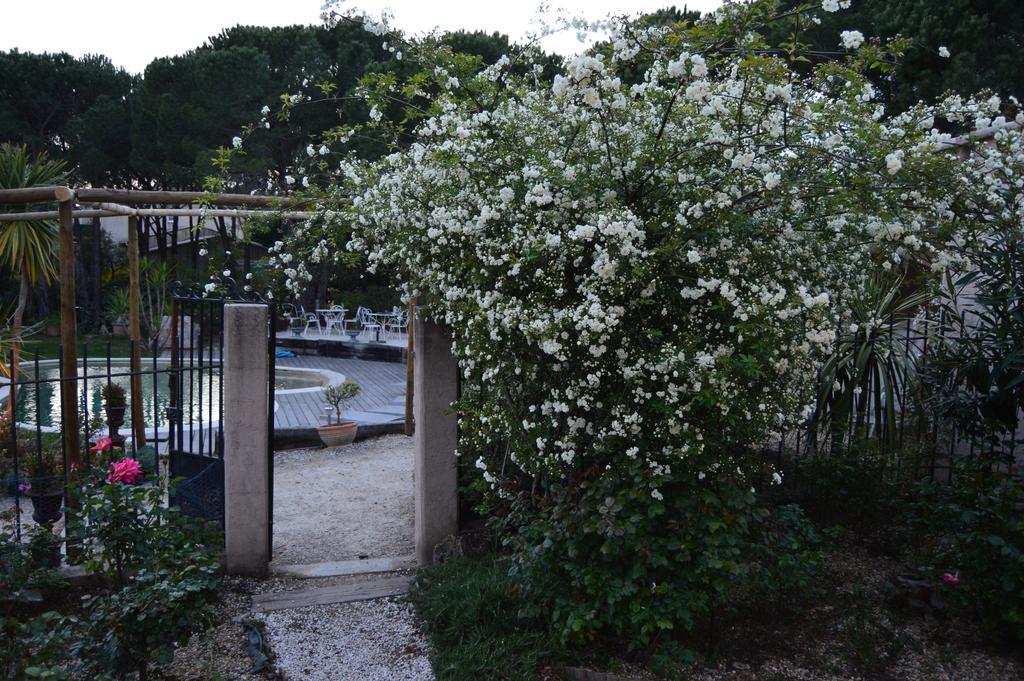 Les Glycines Bed & Breakfast Grimaud Exterior photo