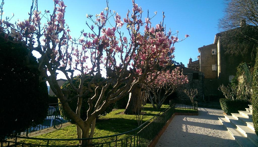 Les Glycines Bed & Breakfast Grimaud Exterior photo