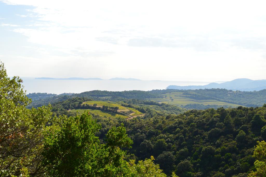 Les Glycines Bed & Breakfast Grimaud Exterior photo