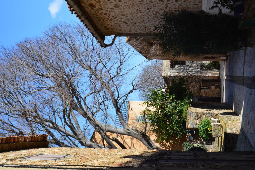 Les Glycines Bed & Breakfast Grimaud Exterior photo