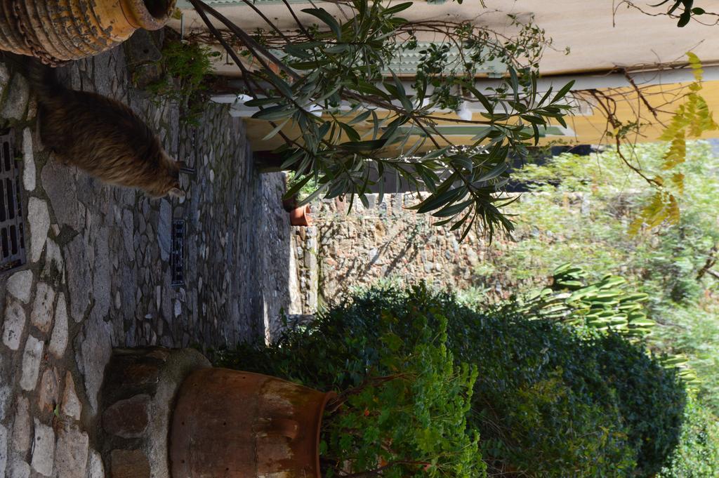 Les Glycines Bed & Breakfast Grimaud Exterior photo